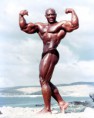 /album/fotogalerie-sergio-oliva/sergio-oliva11-jpg/