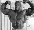 /album/fotogalerie-ronnie-coleman/images-jpeg4/